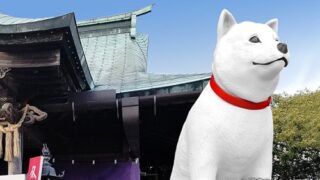 Thumbnail of post image 143