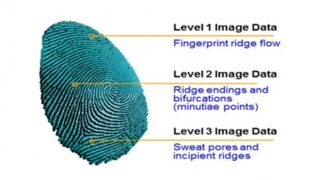 Thumbnail of post image 188