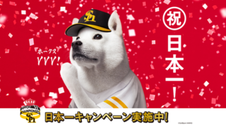 Thumbnail of post image 030