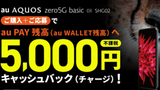 Thumbnail of post image 055