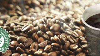 Thumbnail of post image 181